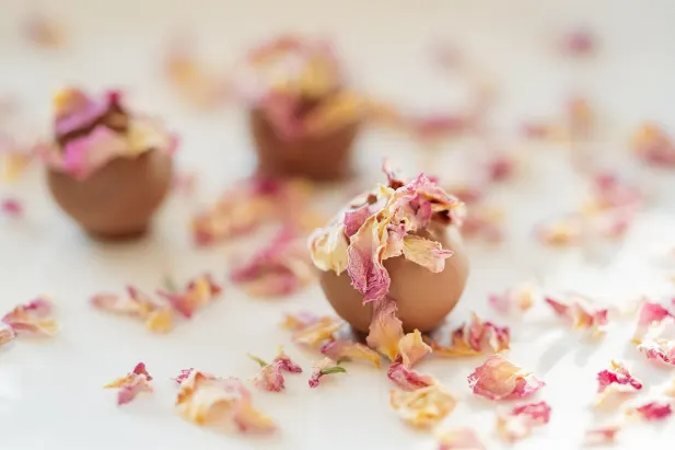 Kasino Fantastic Spins Apl Android/iOS